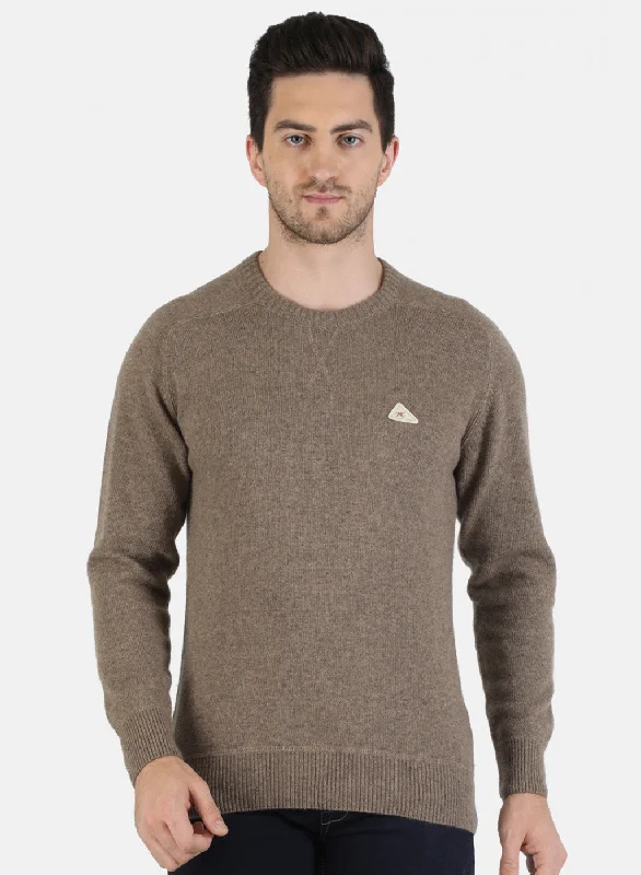 Men Beige Solid Pullover