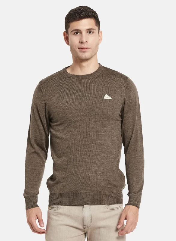 Men Brown Solid Pullover