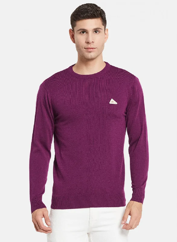 Men Purple Solid Pullover